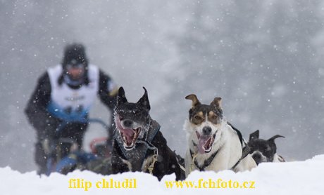 Tri studne zima 2009 - 1050.jpg